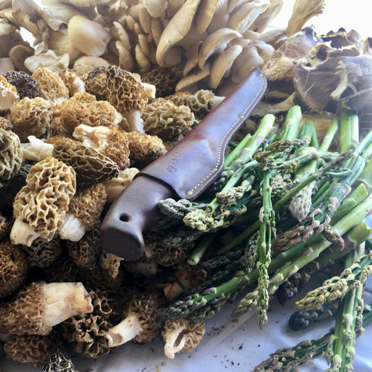 Week 4 June 23rd-27th