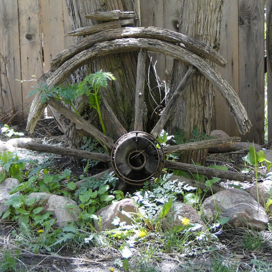 Week 5 July 7th-11th