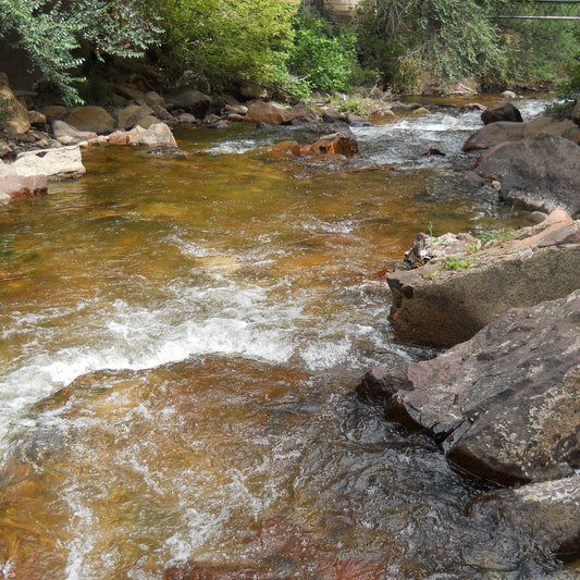 Week 8 July 28th-August 1st